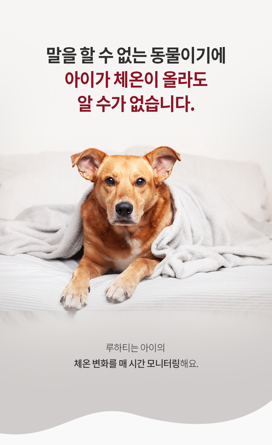 반려견 헬스케어 디바이스 LUHearty